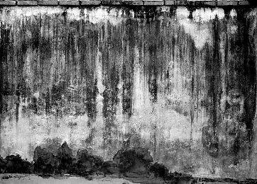 《漫威蜘蛛侠2》毒液配音演员Tony Todd去世